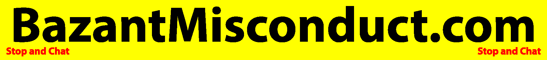 David Slesinger Banner